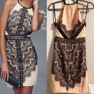 Bebe Size 4 nude black lace dress